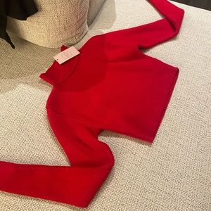 NWT Cropped Turtleneck Sweater